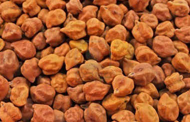 brown_chickpeas